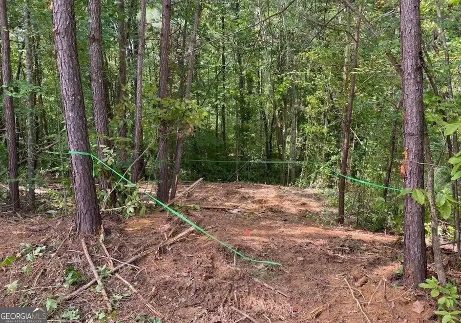 248 Pioneer Trail, Dallas, GA 30132 - Image #2