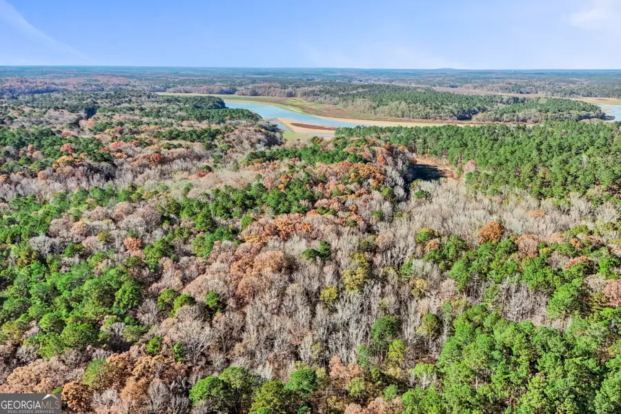 11.62+/- AC New Franklin Road, Hogansville, GA 30230 - Image #3