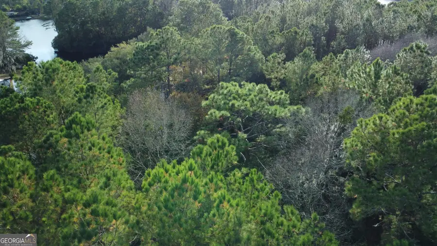 187 Demeries Lake Lane, Richmond Hill, GA 31324 - #3