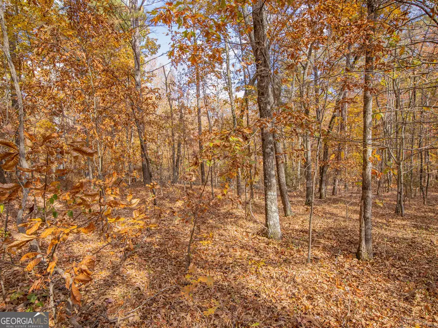 0 Galway Drive, Marietta, GA 30062 - Image #3