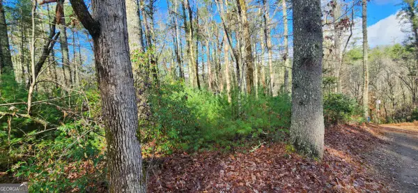 3 LOTS Ridgecrest Drive #76,78,80, Blue Ridge, GA 30513