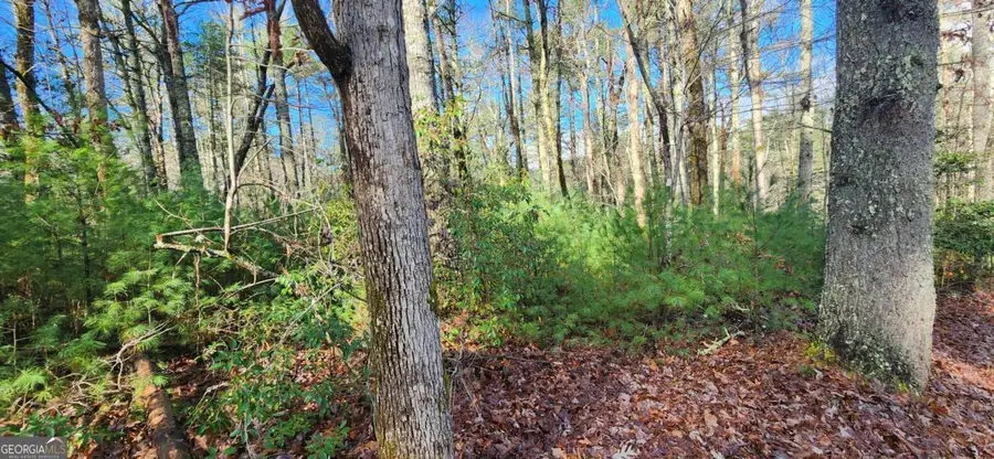 3 LOTS Ridgecrest Drive #76,78,80, Blue Ridge, GA 30513 - Image #2