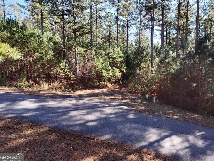 LOT 264 Garden Street, Blairsville, GA 30512 - Image #2