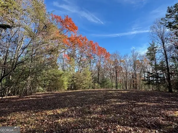 0 John Call Road, Ellijay, GA 30536