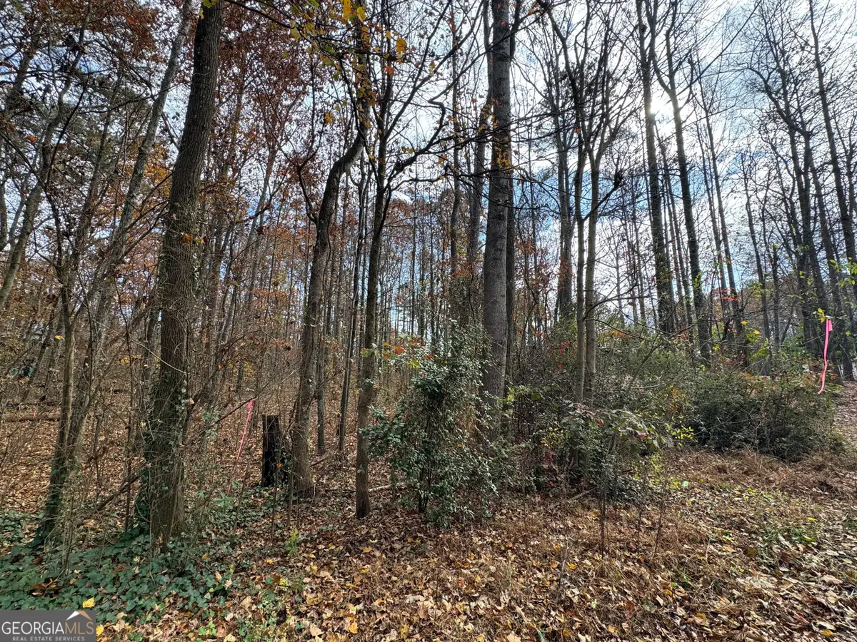 0 Hamby Road, Acworth, GA 30102 - Image #1