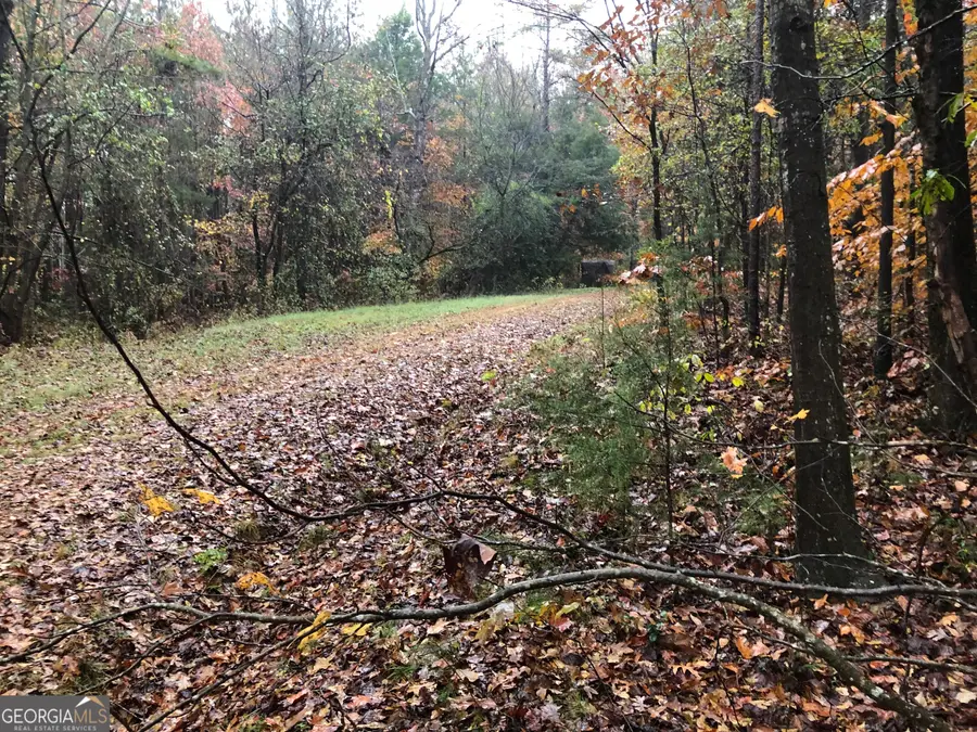 0 E Deer Run Trail, Lavonia, GA 30553 - Image #2