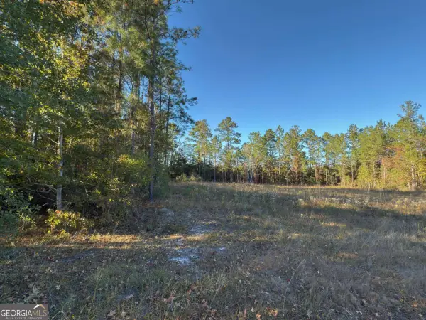 LOT 1 Wildwood Country Estates/thoroughbred Road, Woodbine, GA 31569