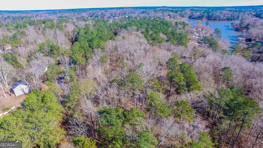 0 Haley Road, Jackson, GA 30233 - Image #3