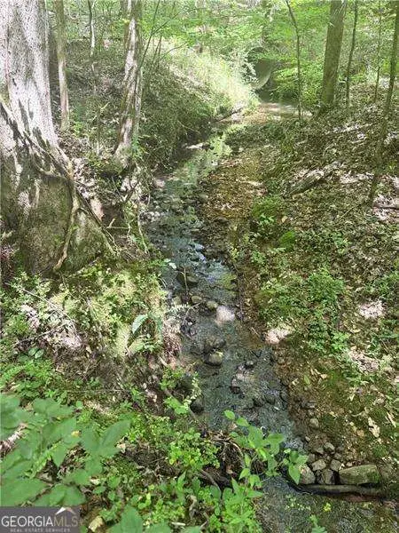 0 Benson Road, Dallas, GA 30132 - Image #3