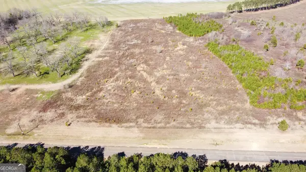 4 N County Line Road, Elko, GA 31025