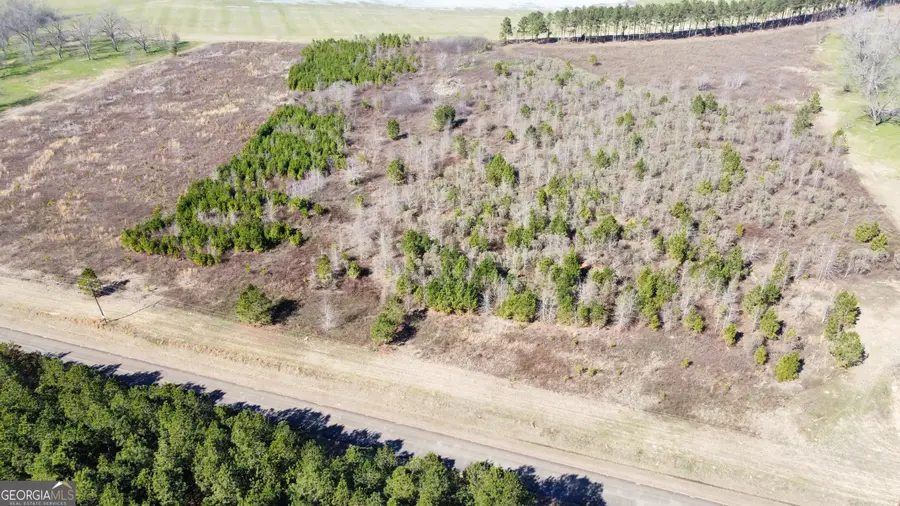 4 N County Line Road, Elko, GA 31025 - Image #2