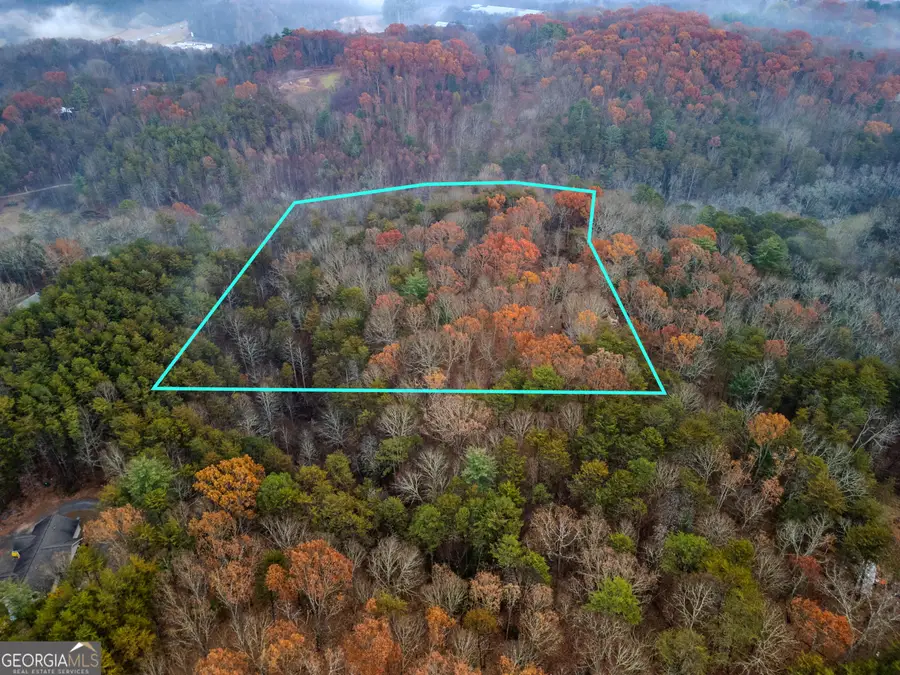 260 Fain Street, Morganton, GA 30560 - Image #2