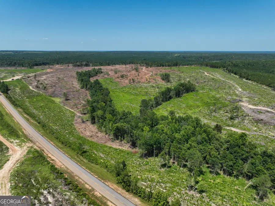 0 Long Branch Road #LOT 5, Toomsboro, GA 31090 - Image #3