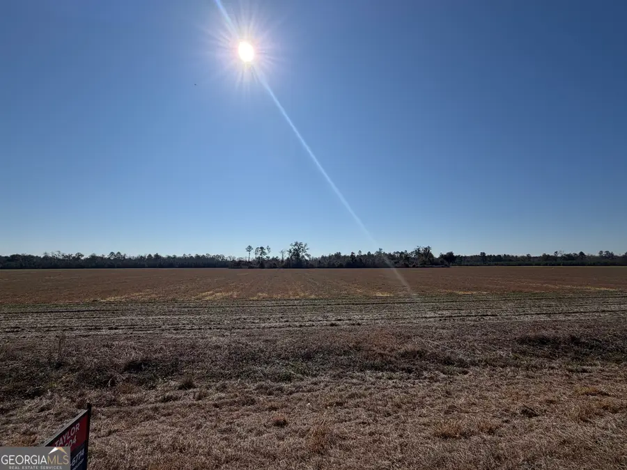 0 Pw Clifton Road, Brooklet, GA 30415 - #3