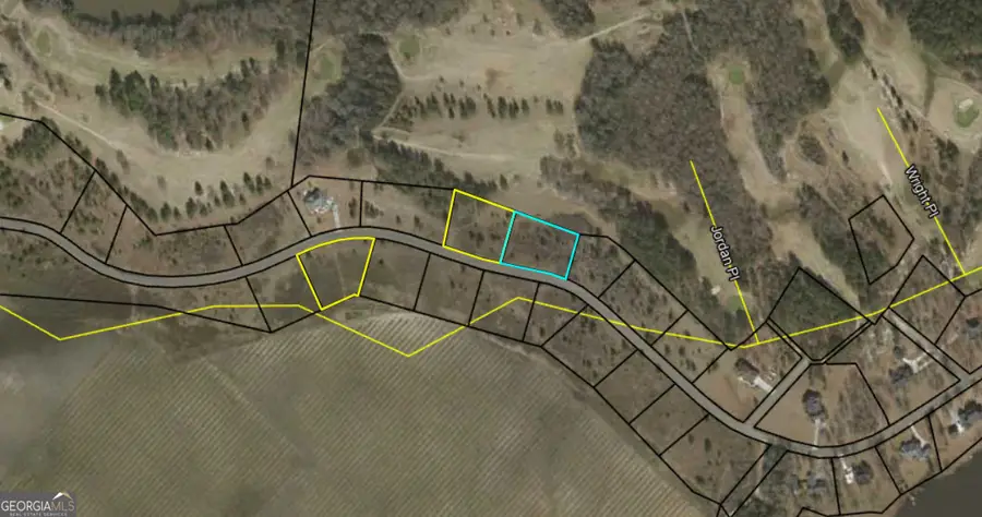 LOT 46 Woodland Trail, Cochran, GA 31014 - Image #2