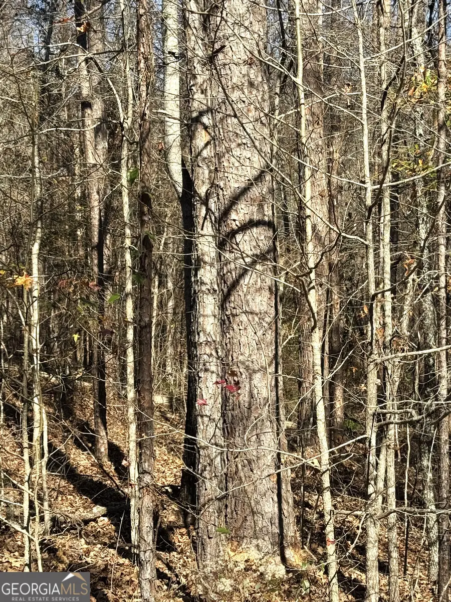 0 Arrowhead Drive, Delta, AL 36258 - Image #3