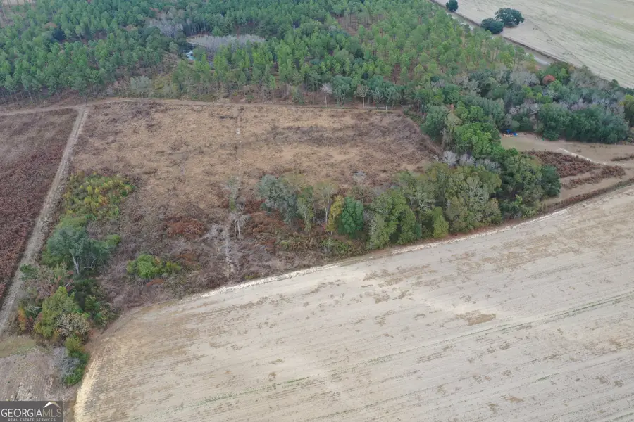 0 Jowers Road, Whigham, GA 39897 - Image #3