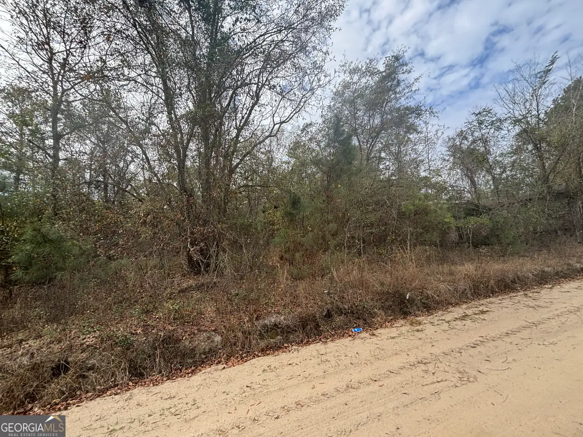 PARCEL A Wiggum Rd & St James Road, Cochran, GA 31014 - Image #1