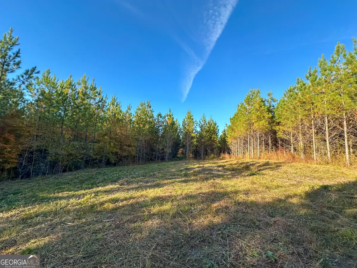 0 Jordon Road, Waverly Hall, GA 31831 - Image #1