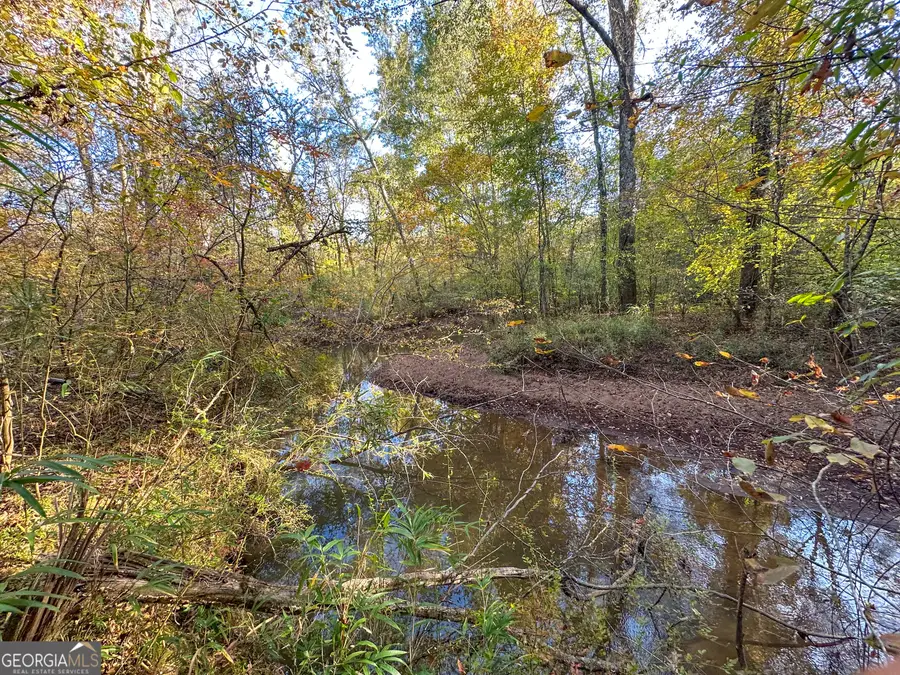 0 Jordon Road, Waverly Hall, GA 31831 - Image #3