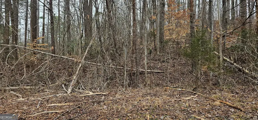 72 Dogwood Trail, Martin, GA 30557 - Image #2