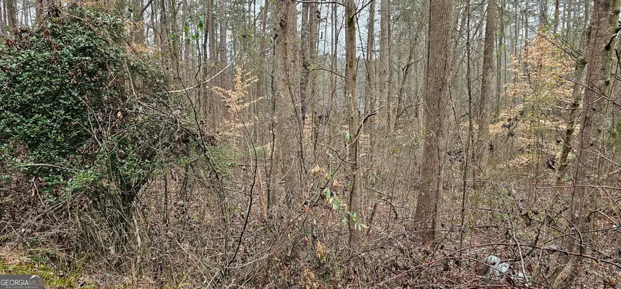 72 Dogwood Trail, Martin, GA 30557 - Image #3