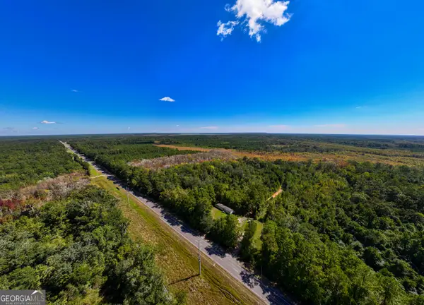 4.41 ACRES Highway 17, Townsend, GA 31331