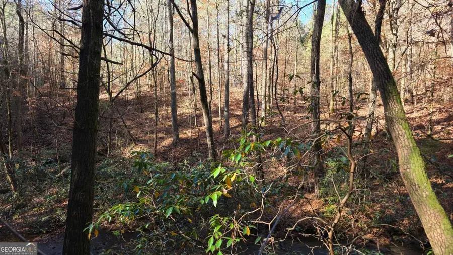 0 Dell Moore Road, Marble Hill, GA 30148 - Image #3