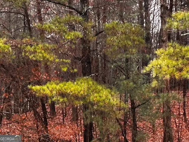 0 Talona Road, Ellijay, GA 30540 - Image #2