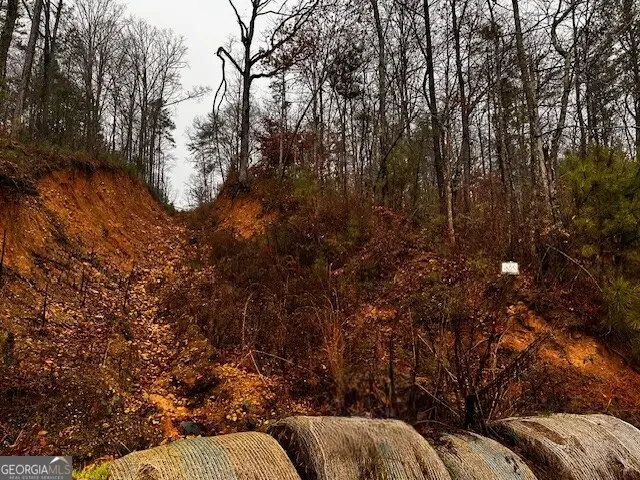 0 Talona Road, Ellijay, GA 30540 - Image #3