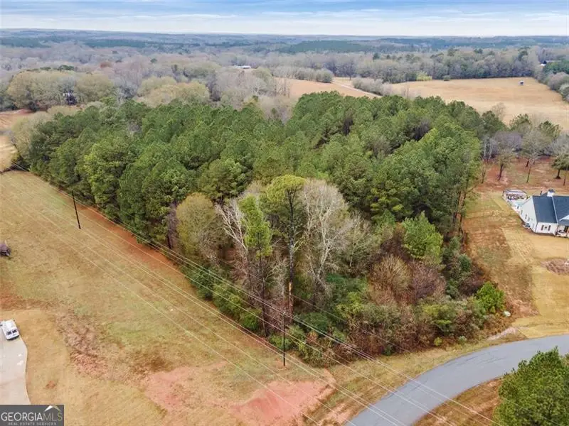 1021 Riverstone Drive, Social Circle, GA 30025 - Image #3