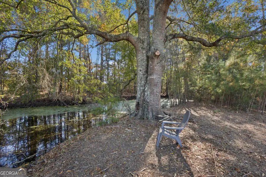 4342 Mud Road, Brooklet, GA 30415 - Image #3