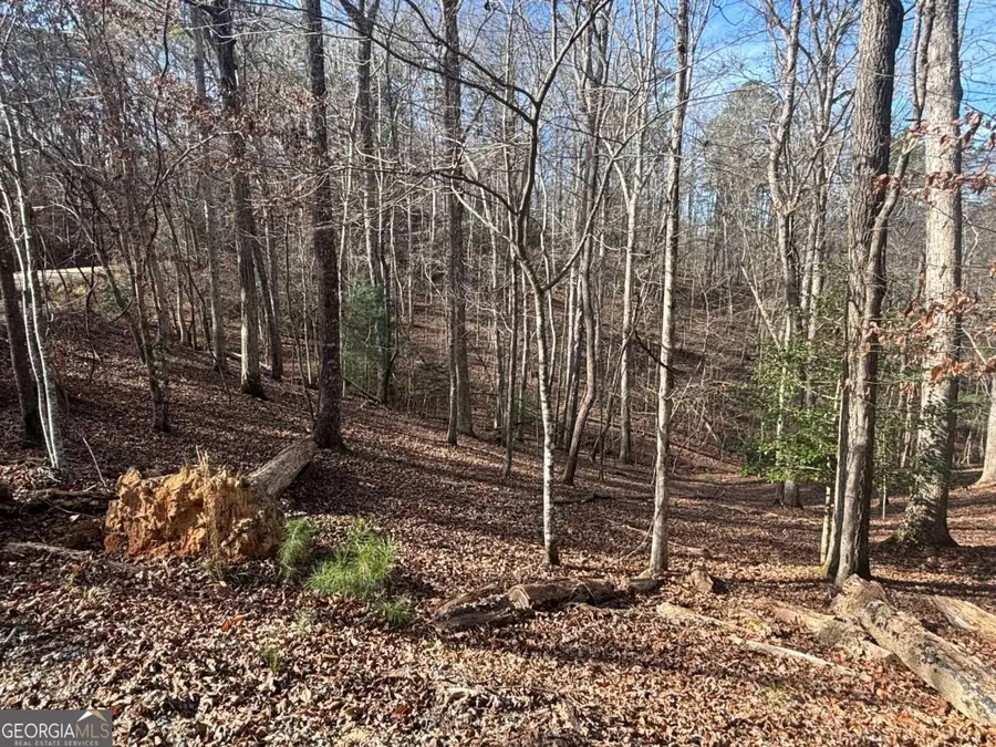 LT 727 Armor Court, Ellijay, GA 30540 - Image #3