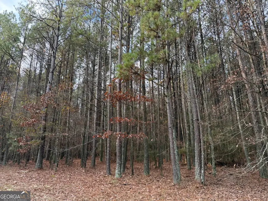 0 Branson Crossing Road #2, Kingston, GA 30145 - Image #3