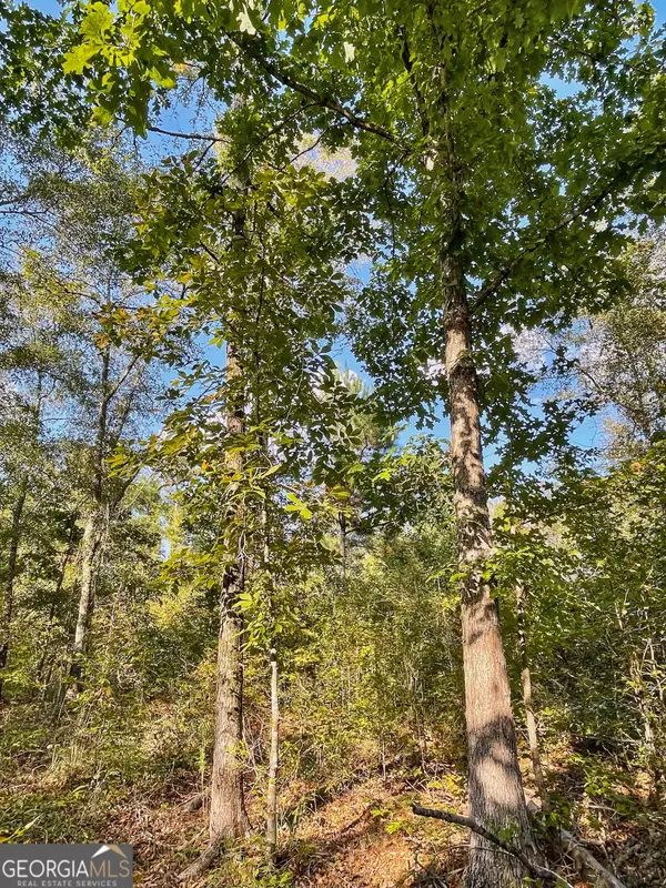 0 S Highway 36, Jackson, GA 30233