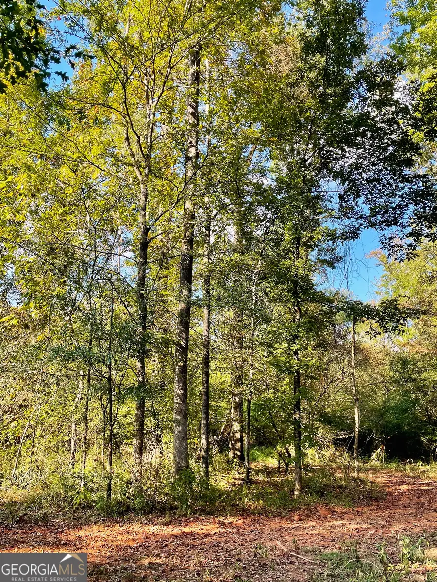 0 S Highway 36, Jackson, GA 30233 - Image #2