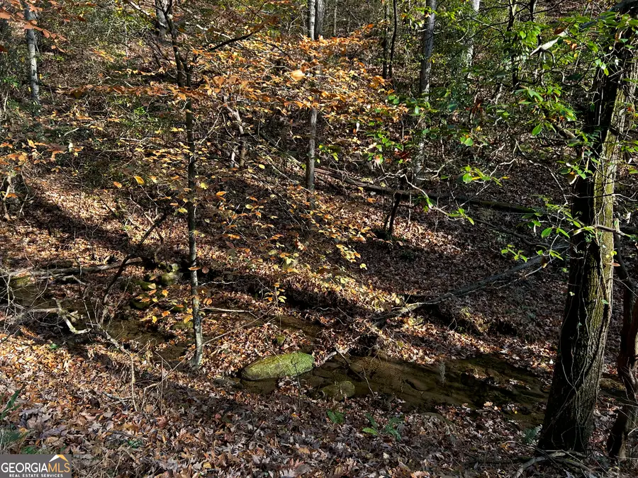 308 Rhododendron Lane, Sautee Nacoochee, GA 30571 - Image #2