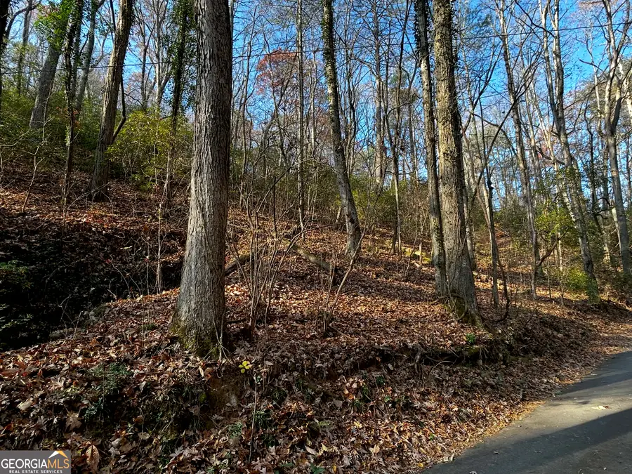 308 Rhododendron Lane, Sautee Nacoochee, GA 30571 - Image #3