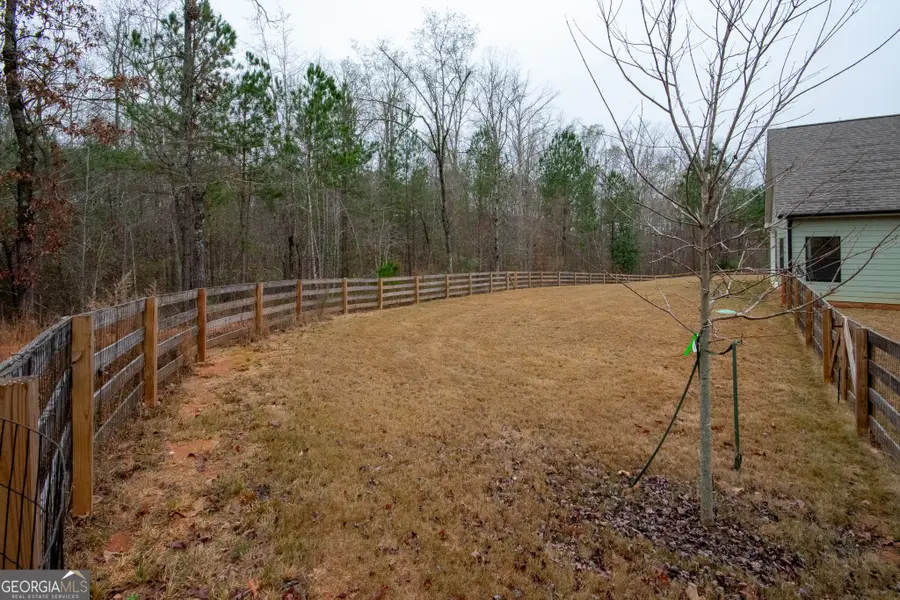 298 Walden Pond Trail, Senoia, GA 30276 - Image #3
