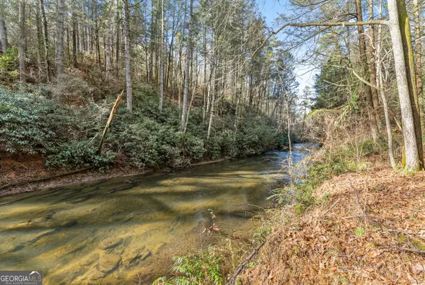 21 Soque Wilderness Road, Clarkesville, GA 30523