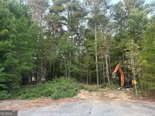 21 Skyline Drive, Braswell, GA 30153 - Image #2