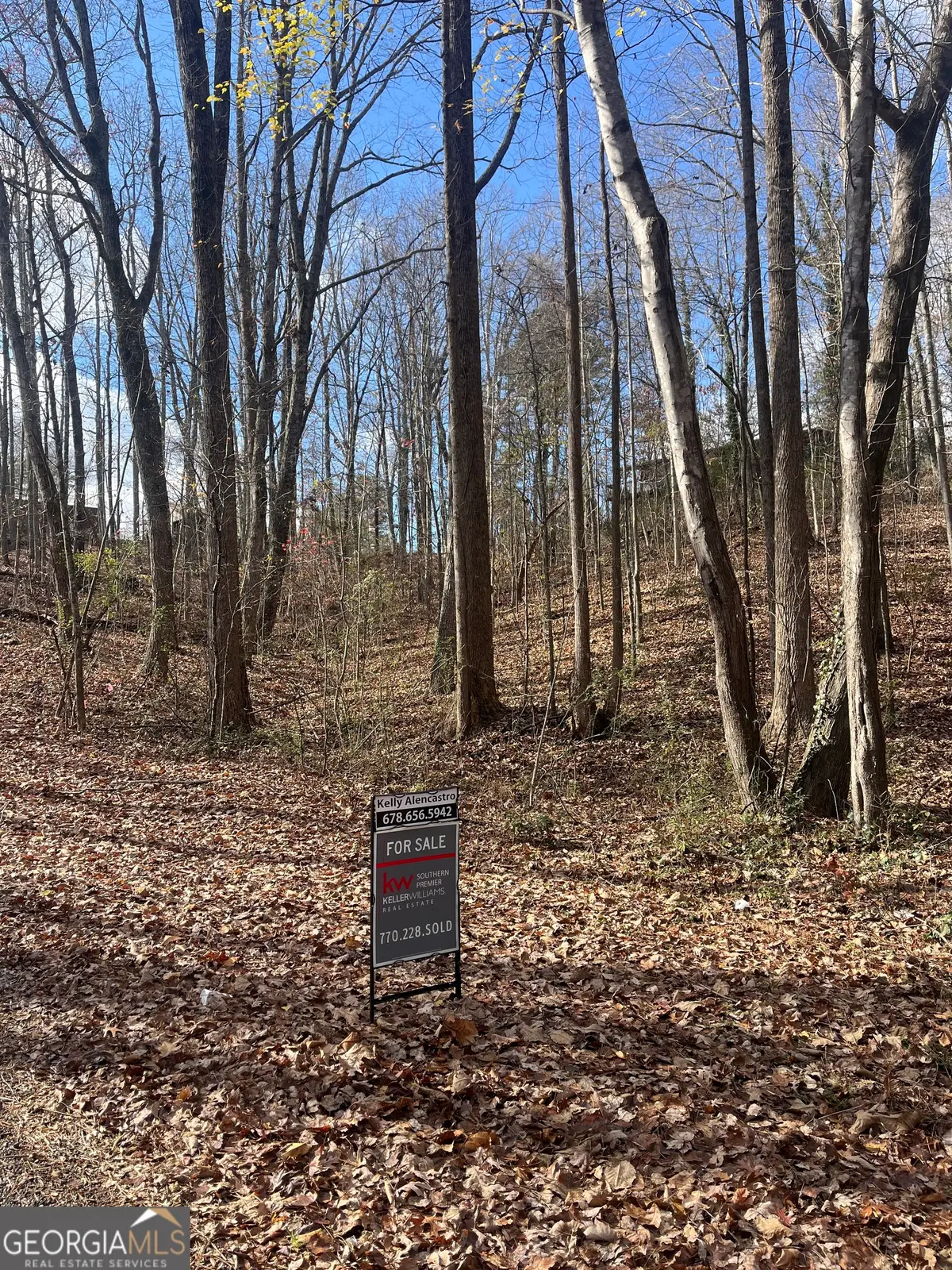 0 Tomahawk Terrace, Gainesville, GA 30506 - Image #1