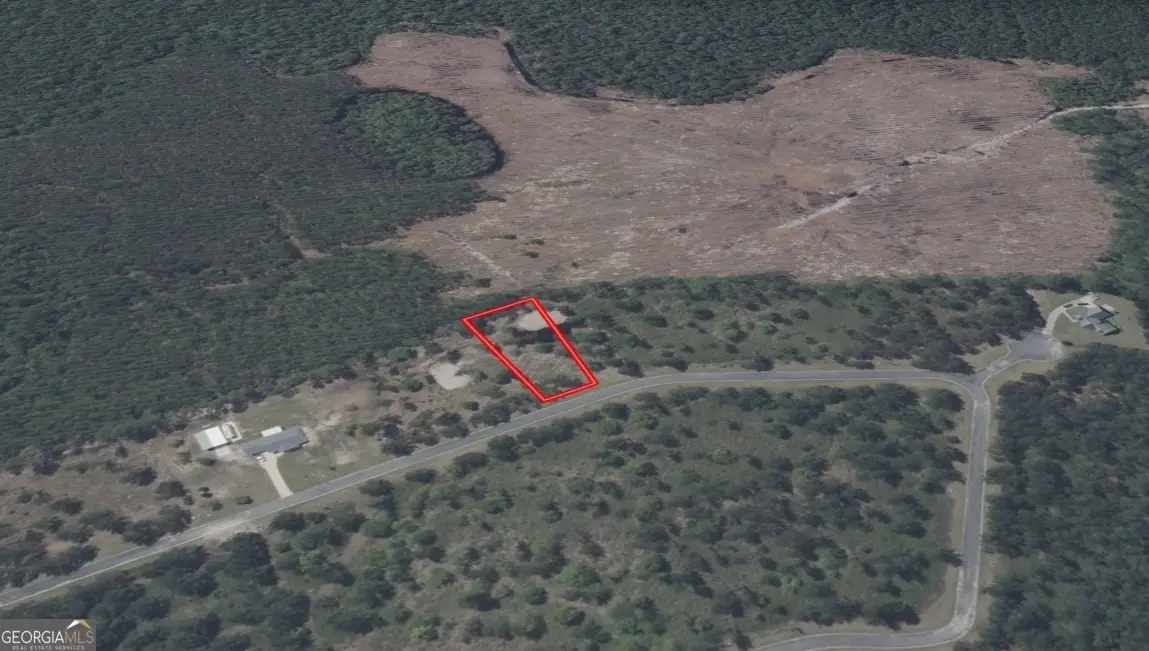 0 Big Horse Drive #83, Waynesville, GA 31566 - Image #1