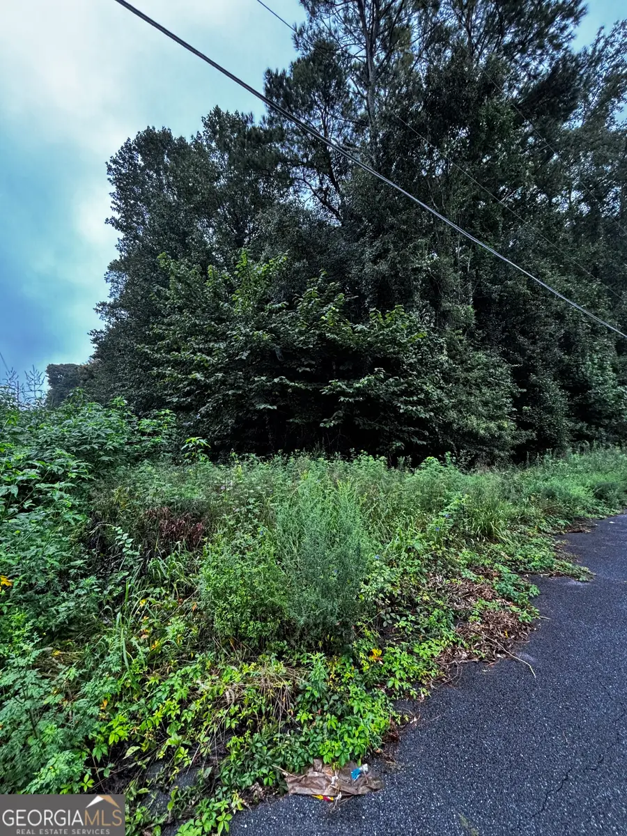 8202 Freestone Drive, Jonesboro, GA 30236 - Image #3