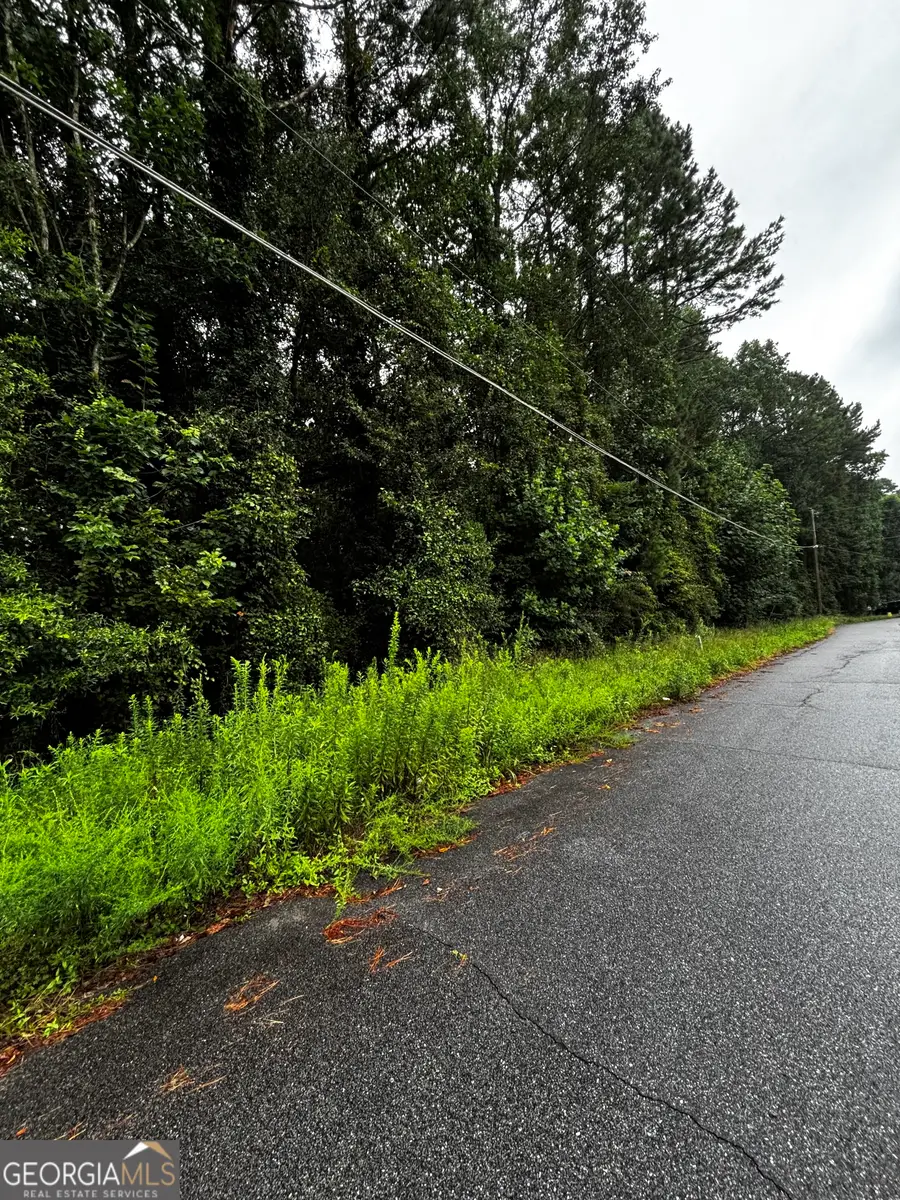 8224 Freestone Drive, Jonesboro, GA 30236 - Image #3