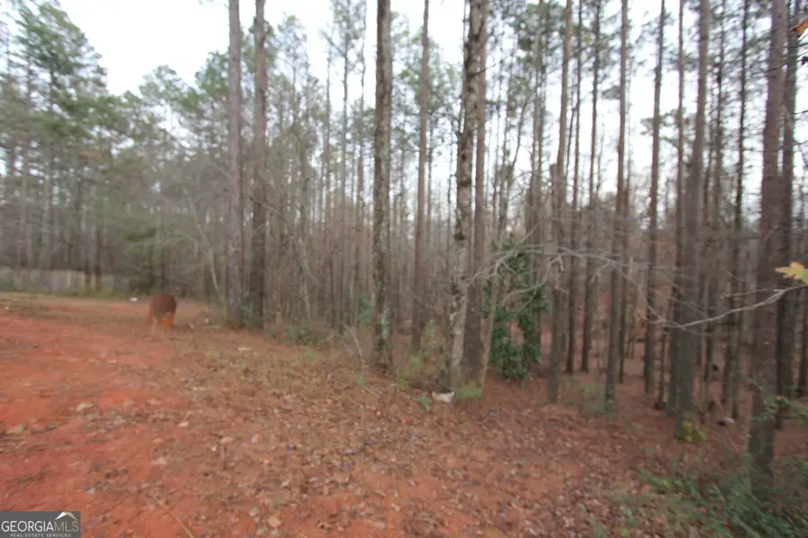 409 Reids Mill Way, Carrollton, GA 30116 - Image #3