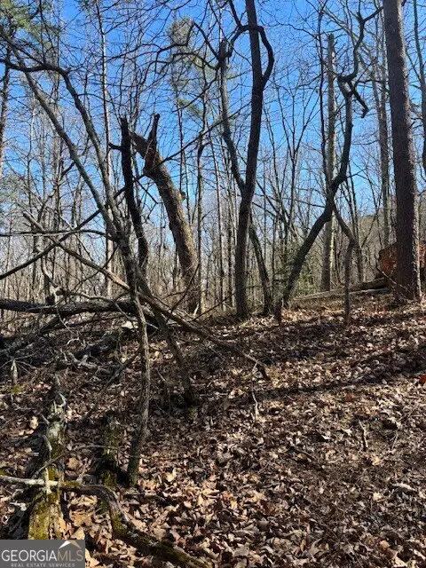 125 Gum Wood Court, Waleska, GA 30183 - Image #3