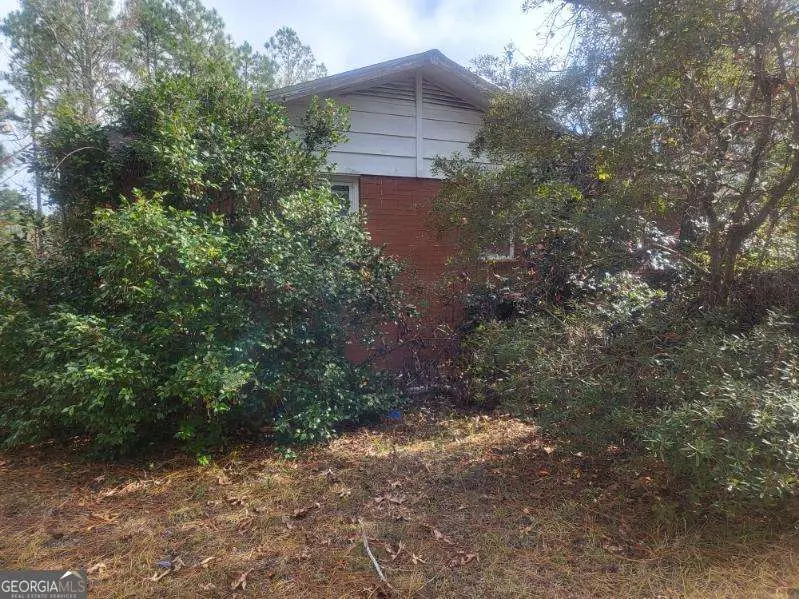 546 Alton Lawson Road, Adrian, GA 31002 - Image #2