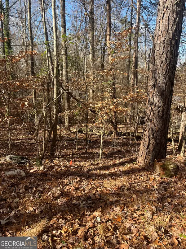 0 Continental Trail, Gainesville, GA 30506