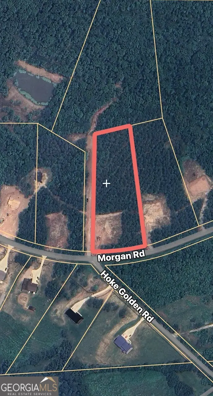 1456 Morgan Road, Bremen, GA 30110 - Image #1